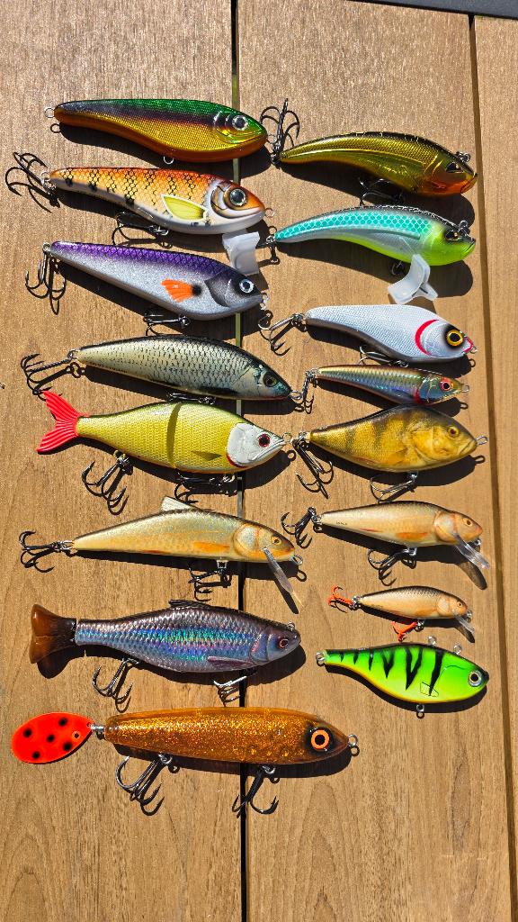 Diverse Jerkbaits en pluggen, Watersport en Boten, Ophalen of Verzenden, Gebruikt, Overige typen