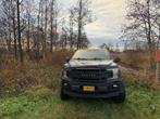 Ford F150 grill, Ophalen of Verzenden, Ford, Motorkap