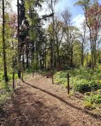 Paddock Paradise met schuilstal, Weidegang