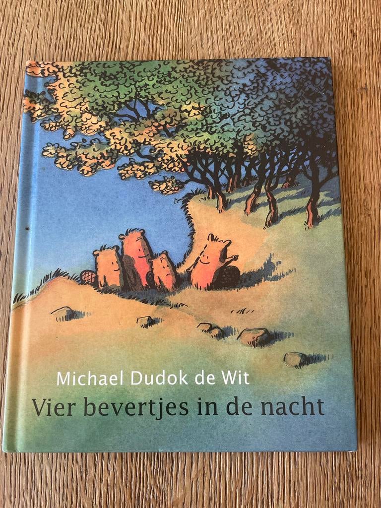 Vier bevertjes in de nacht - Michael Dudok de Wit, Boeken, Kinderboeken | Kleuters, Zo goed als nieuw, Fictie algemeen, 4 jaar