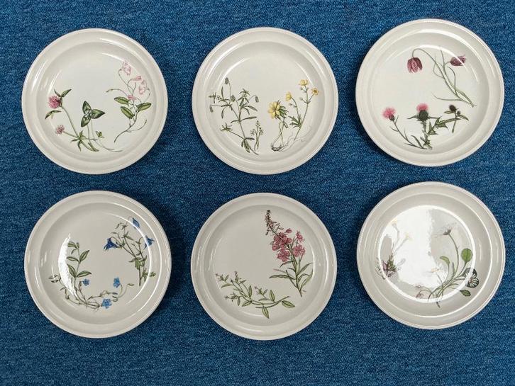 6 Portmeirion Queens Hidden Garden-Gebaksbordjes, Huis en Inrichting, Keuken | Servies, Nieuw, Bord(en), Overige stijlen, Porselein