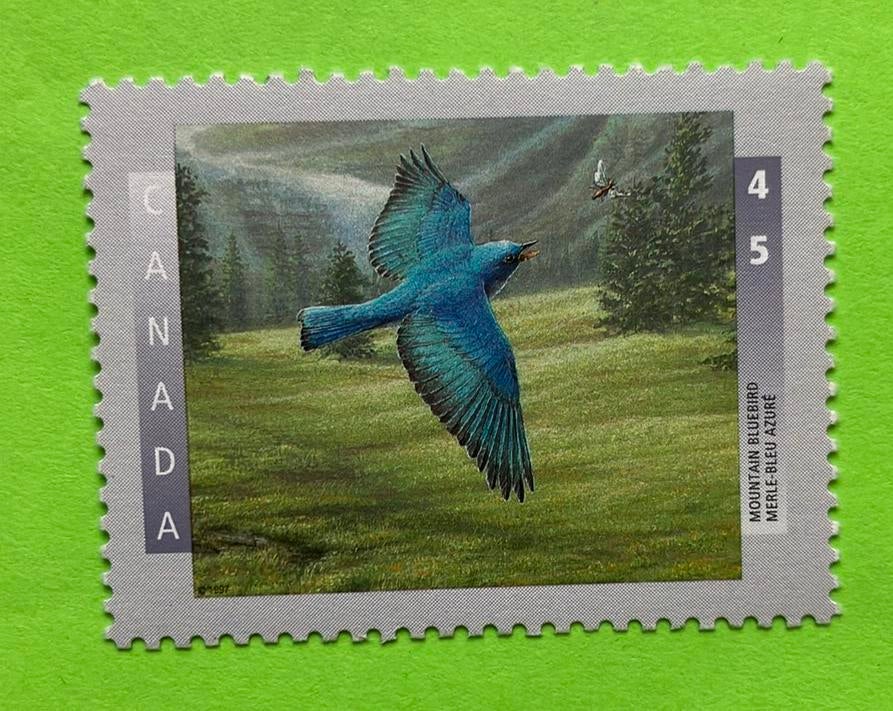 Vogel, Ophalen, Dier of Natuur