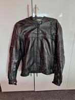 Dames motorjas, Kleding | Heren, Ophalen of Verzenden, Zo goed als nieuw, Maat 46 (S) of kleiner, Zwart