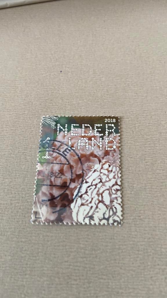 Nederland, Postzegels en Munten, Postzegels | Nederland, Ophalen of Verzenden, Gestempeld