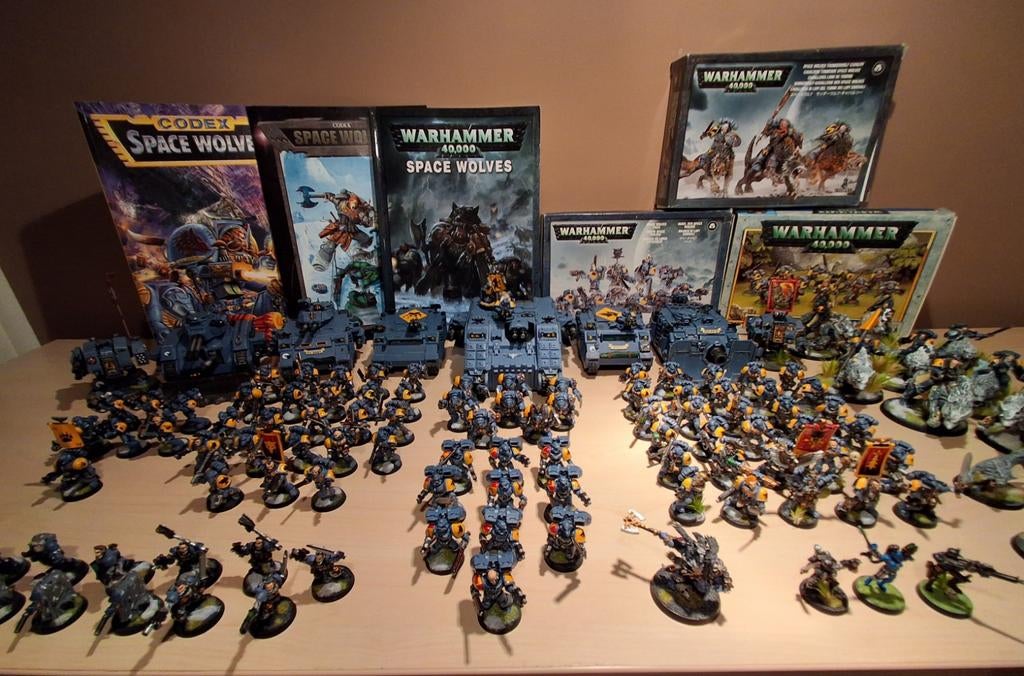 Warhammer 40K Space Wolfs Leger COMPLEET GESCHILDERD!, Ophalen, Gebruikt, 1:35 tot 1:50, Figuur of Figuren