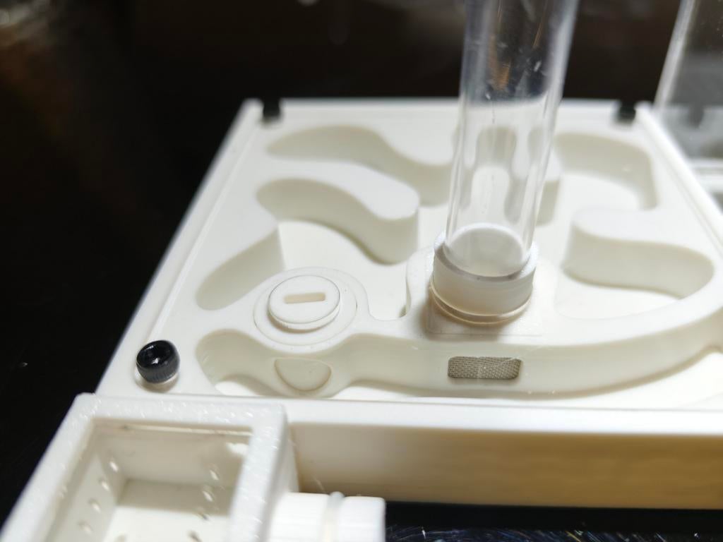 Start nest voor het houden van mieren, Ophalen of Verzenden, Nieuw, Terrarium of Paludarium