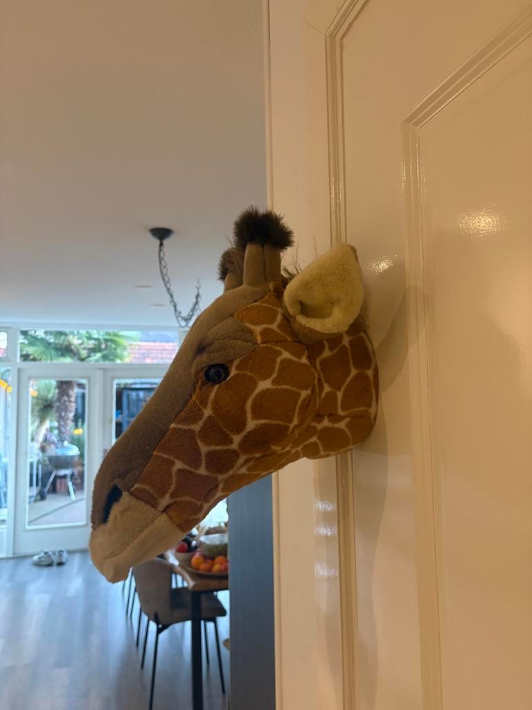 Dieren koppen, Ophalen of Verzenden, Zo goed als nieuw, Wanddecoratie