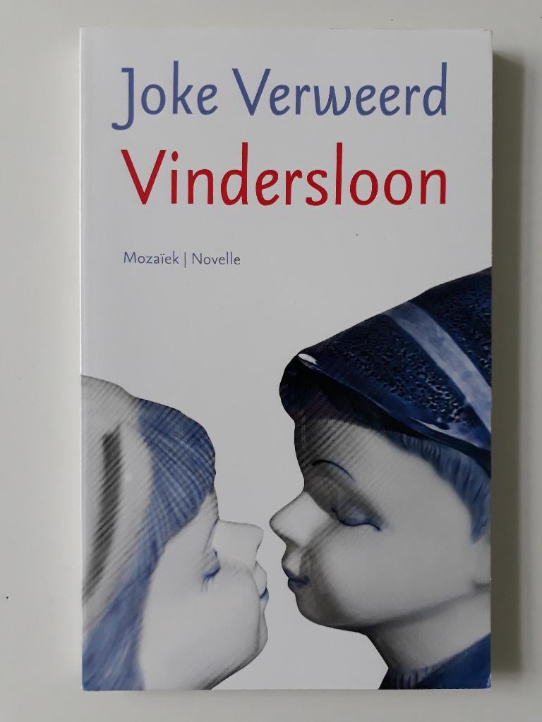 Roman novelle 'Vindersloon' door Joke Verweerd - als nieuw, Ophalen of Verzenden, Zo goed als nieuw, Joke Verweerd