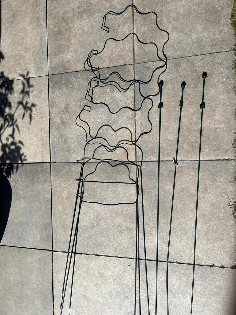 Peacock intratuin Metalen plantensteun voor planten, Ophalen, Eenjarig, Klimplanten, Volle zon