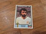 Panini WK 78, Verzamelen, Ophalen of Verzenden, Zo goed als nieuw, Buitenlandse clubs, Poster, Plaatje of Sticker