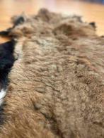 Geitenvacht 100/55, Gebruikt, 100 tot 150 cm, Bruin, Etten-Leur