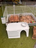 Cavia / konijn binnenhok XL 95x56 cm mry starterspakket, Dieren en Toebehoren, Kooi, 110 cm of meer, Zo goed als nieuw, Cavia