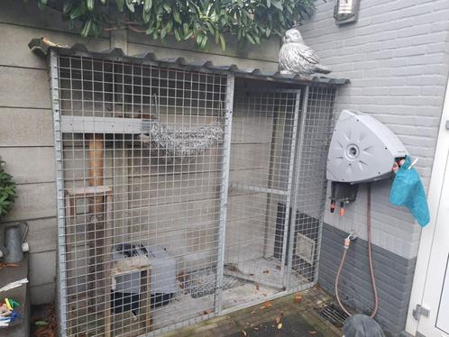 Kenneldelen voor poezen- of hondenkennel, Dieren en Toebehoren, Hondenhokken, Gebruikt, Hondenkennel, 100 cm of meer, 110 cm of meer