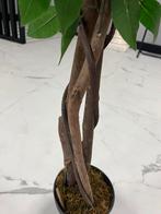 Kunstboom 160cm, Huis en Inrichting, Ophalen, Halfschaduw, 150 tot 200 cm