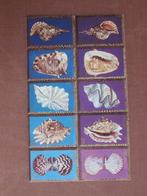 PALAU 1984; serie (10) SCHELPEN, Verzenden, Postfris, Dier of Natuur