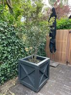 Set van twee stuks Hillhout hardhouten plantenbak, Tuin en Terras, Bloembakken en Plantenbakken, Ophalen, Gebruikt, Vierkant, 60 tot 100 cm