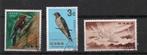 Japan Vogels RYUKYUS kavel 117, Oost-Azië, Ophalen, Gestempeld