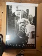 Nieuwe foto in lijst 63x92, Huis en Inrichting, Ophalen, Zo goed als nieuw, Minder dan 50 cm, Foto of Poster