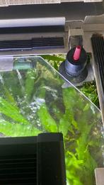 RVS aquarium. Leeees!! Of bellen, Dieren en Toebehoren, Vissen | Aquaria en Toebehoren, Ophalen, Zo goed als nieuw, Gevuld zoetwateraquarium