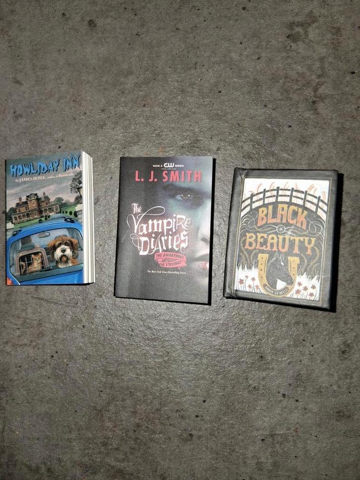 3 mini boekjes, Boeken, Overige Boeken, Zo goed als nieuw, Ophalen of Verzenden