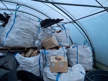 Haardhout in zakken beschikbaar voor biedingen