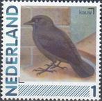 Nederland- 2011-Persoonlijke- Natuur- Vogels- Kauw- P, Verzenden, Na 1940, Postfris