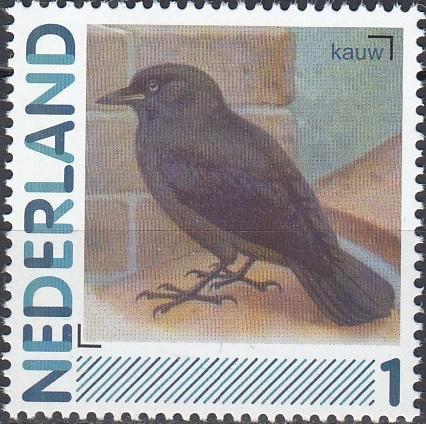 Nederland- 2011-Persoonlijke- Natuur- Vogels- Kauw- P, Postzegels en Munten, Postzegels | Nederland, Postfris, Na 1940, Verzenden