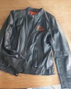 motorjack leer Harley Davidson (vrouw) mt xl, Motoren, Jas | leer, Harley Davidson. Origineel., Ophalen of Verzenden, Dames