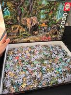 Educa Puzzel 2000 stukjes - Jungle, Ophalen of Verzenden, Meer dan 1500 stukjes, Zo goed als nieuw, Legpuzzel