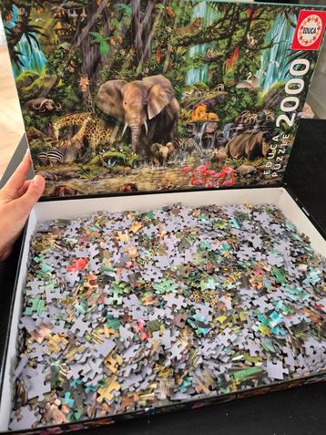 Educa Puzzel 2000 stukjes - Jungle beschikbaar voor biedingen