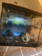 Superfish aquarium start 30, Dieren en Toebehoren, Vissen | Aquaria en Toebehoren, Ophalen of Verzenden, Nieuw, Overige typen