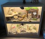 Hamster Haven – Handmade IKEA Kallax Terrarium, Ophalen, 60 tot 90 cm, Hok, Minder dan 75 cm