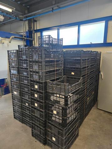 Partij Kunststof Kratten 60x40x18cm  beschikbaar voor biedingen