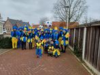 Carnavalsgroep kleding, Ophalen of Verzenden, Zo goed als nieuw, Maat 46/48 (XL) of groter, Carnaval