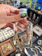 Reptielen op sterk water, taxidermie, Ophalen of Verzenden, Opgezet dier