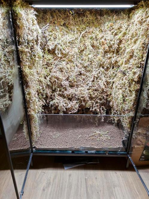 Rudsta Ikea kast. Terrarium vivarium, Dieren en Toebehoren, Reptielen en Amfibieën | Toebehoren, Zo goed als nieuw, Terrarium of Paludarium