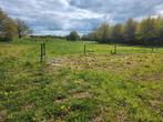 Paardenstallen +grasland te huur ong. 0.6 ha  in de marshoek