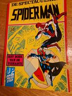 Spectaculaire Spiderman - Het Boek van de Vishanti, Boeken, Eén stripboek, Ophalen of Verzenden, Gelezen, Stan Lee