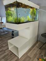 Aquarium incl ombouw. filter, gasfles, gasdrukregelaar etc, Dieren en Toebehoren, Vissen | Aquaria en Toebehoren, Ophalen of Verzenden