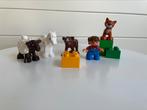 Duplo 5646 Dierenverzorging (kalfje, veulen, schaap, poes), Ophalen of Verzenden, Zo goed als nieuw, Complete set, Duplo