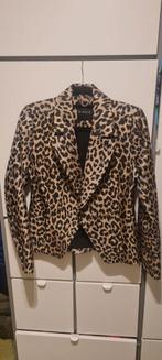 NIEUW NIKKIE blazer maat 34 met panterprint Benicia, Ophalen of Verzenden, Nieuw, Maat 34 (XS) of kleiner