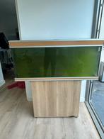 Compleet aquarium met externe filter, Dieren en Toebehoren, Vissen | Aquaria en Toebehoren, Ophalen, Zo goed als nieuw, Gevuld zoetwateraquarium