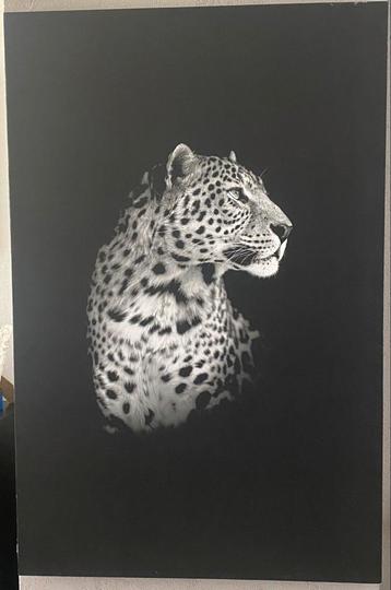 Mooie luipaard foto schilderij beschikbaar voor biedingen