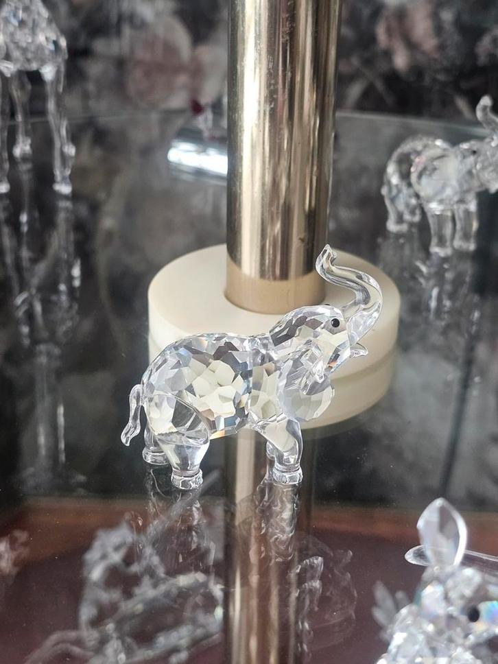 Swarovski beelden  olifant kangaroe  trein wagon, Verzamelen, Swarovski, Zo goed als nieuw, Figuurtje, Ophalen of Verzenden