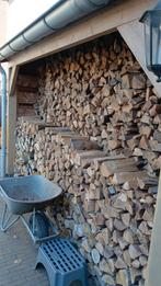OVENGEDROOGD HAAGBEUK, GRATIS THUISBEZORGD! TOP KWALITEIT, Tuin en Terras, Haardhout, Ophalen of Verzenden, Blokken