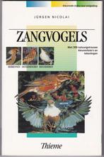 Zangvogels - Jurgen Nicolai, Boeken, Gelezen, Ophalen of Verzenden, Jurgen Nicolai, Vogels