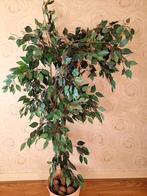 Kunstplant Ficus 1.75 hoog, Ophalen, Gebruikt