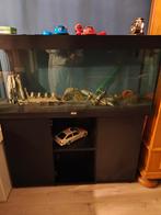 Juwel rio 240, Ophalen, Gebruikt, Leeg aquarium