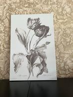 Tulp Reproductie op Canvas, Ophalen, Zo goed als nieuw, Print, Minder dan 50 cm