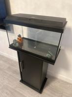 Juwel aquarium (niet gebruikt), Dieren en Toebehoren, Ophalen, Leeg aquarium